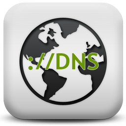 Simple DNS Plus.png
