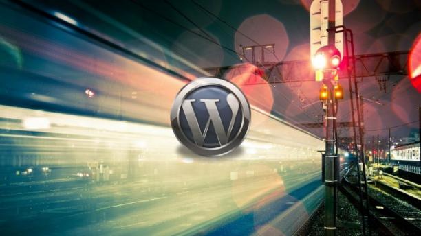 The WpFASTER WordPress Speed Optimization Master Course.jpg