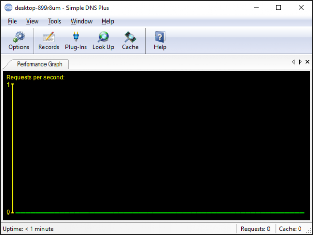 Simple DNS Plus sc.png