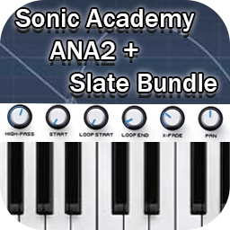 Sonic Academy ANA.png
