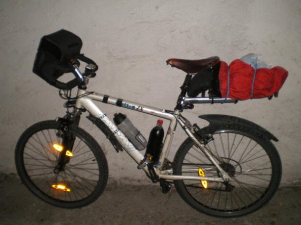 longoni notturna.jpg