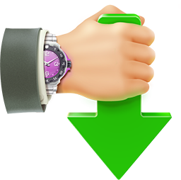 Internet Download Accelerator Pro.png
