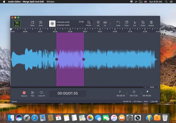 Audio Editor - Record & Edit.jpg