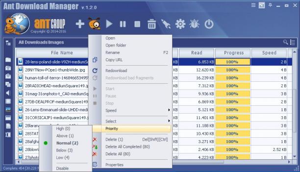 Ant Download Manager screen.jpg