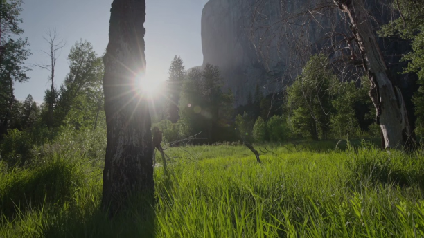 vlcsnap-2026-10-23-14h53m59s829.png