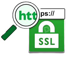 NetScanTools SSL Certificate Scanner.png