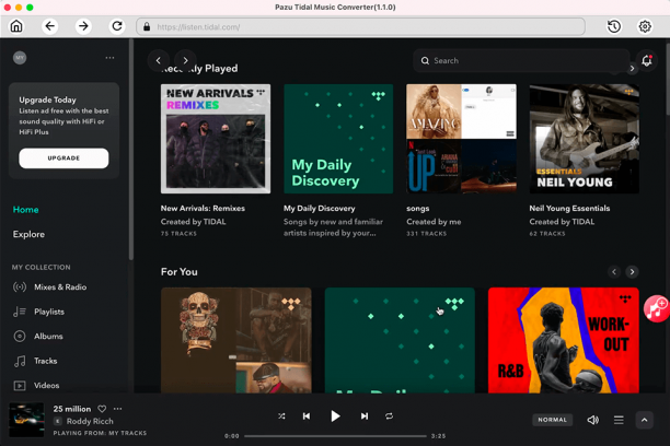 Pazu Tidal Music Converter sc.png