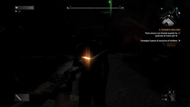 Dying Light screen (6).jpg