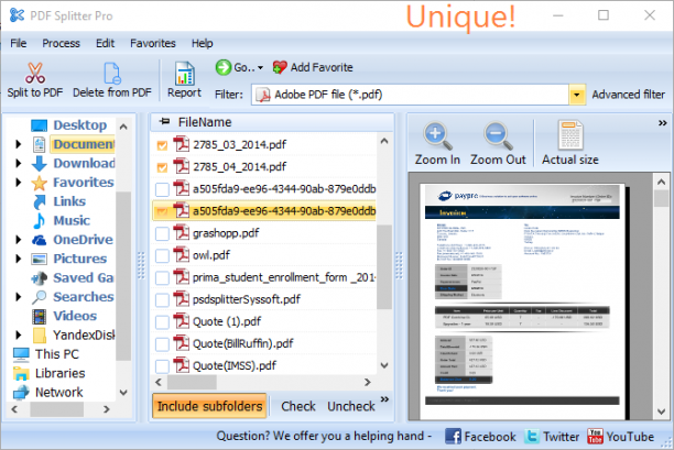 Coolutils PDF Splitter Pro screen.png