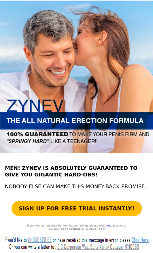ZINEV.png
