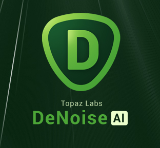 denoiselogo-1.png