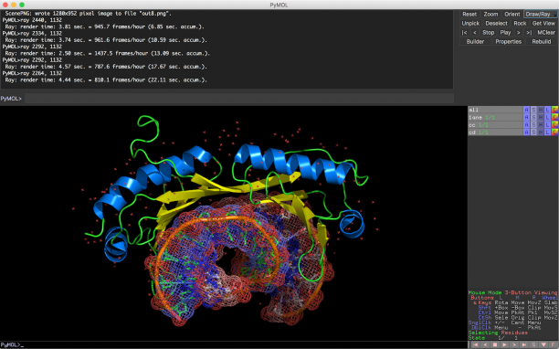 schrodinger PyMOL screen.png