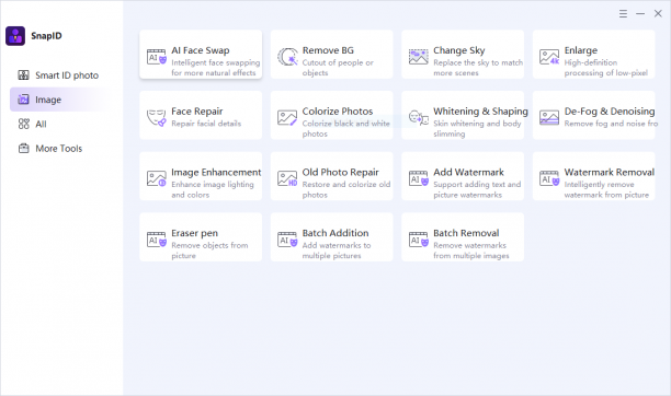 Gilisoft SnapID sc.PNG
