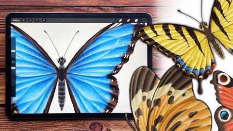 Procreate - Illustrate Butterflies And 3 Ways To Animate.jpg