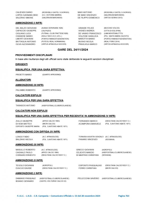 CU53-2024-2025-del-28.11.2024-12-18_page-0003.jpg