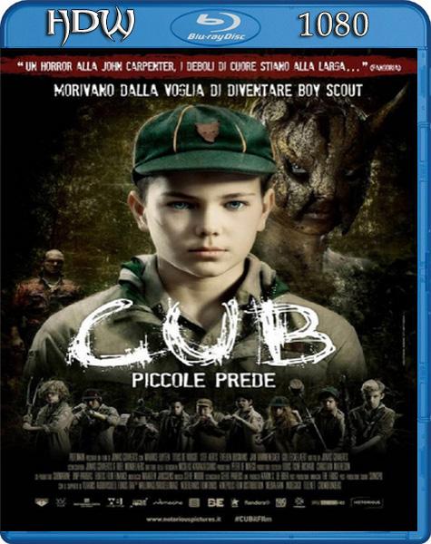 cub.jpg