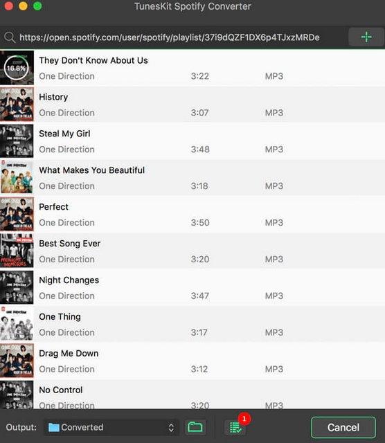 ViWizard Music Converter screen.jpg