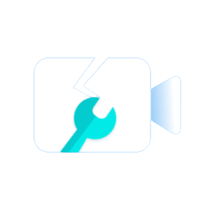 Vidmore Video Fix.png