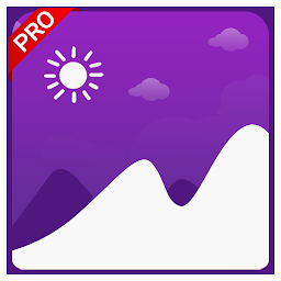 Gallery PRO.png