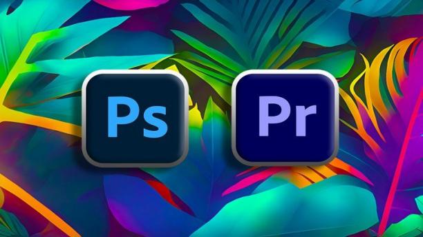 Professional Project Based Graphics Design & Video Editing.jpg