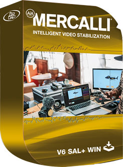 proDAD Mercalli V6 SAL.png