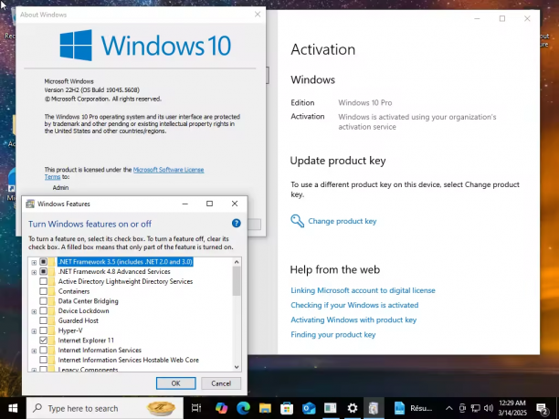 Windows 10 Pro 22H2 build 19045.5608 1.png