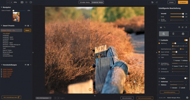 Radiant Photo screen.png