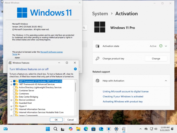 Windows 11 Pro 24H2 Build 26100.4061 sc2.png