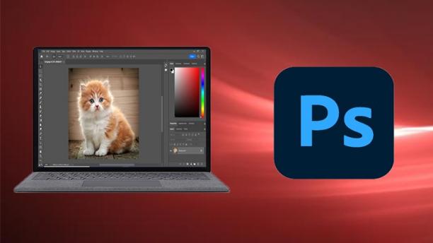 Adobe Photoshop CC From Absolute Beginner To Advanced.jpg