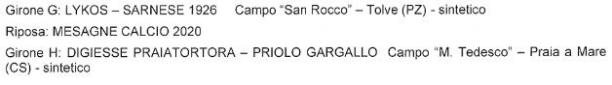 2.JPG