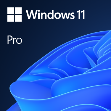 win 11 pro.png