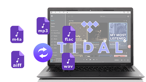 Pazu Tidal Music Converter 1.png