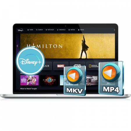 Pazu DisneyPlus Video Downloader 1.4.1.png