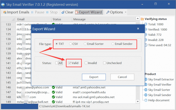 Sky Email Verifier sc.png