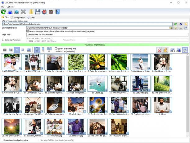 Bulk Image Downloader sc.jpg