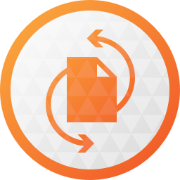 Paragon Hard Disk Manager.png