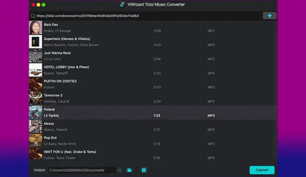 ViWizard Tidal Music Converter sc.png