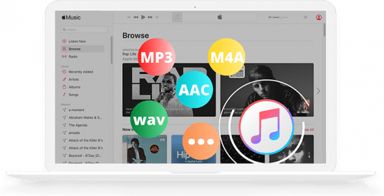 Pazu Apple Music Converter 1.png