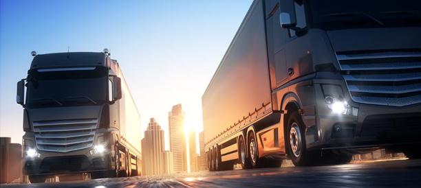 SAP SHANA TM (Transportation Management) 2020 Functional.jpg