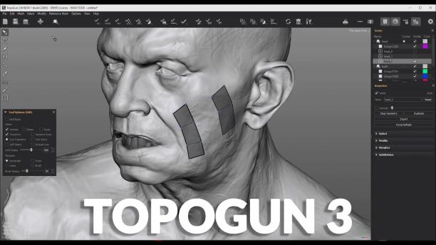 Topogun sc.jpg