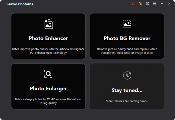 Leawo PhotoIns Pro screen.PNG