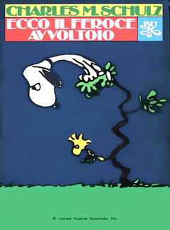 cover.png