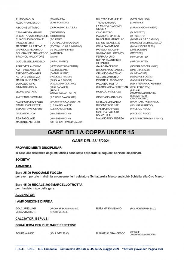 C.U.45-S.G.S.Campania-2-16_page-0014.jpg