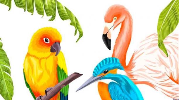 Procreate - Illustrate 3 Tropical Birds.jpg