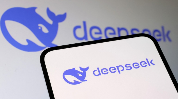 DeepSeek Practical Applications in Business Work Life etc.png