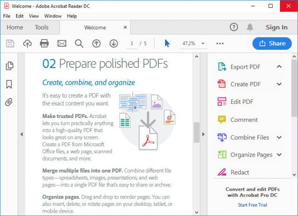 Adobe Acrobat Reader DC screen.jpg