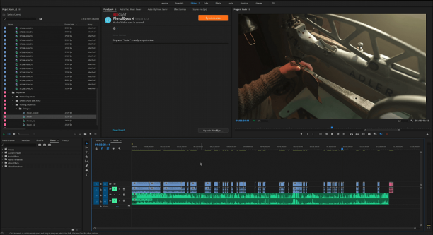 pluraleyes-screenshot-01.png
