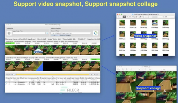 Video Snapshot sc.png