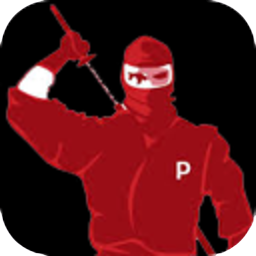 Ninja Pinner (Pinterest bot).png