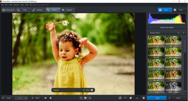 AMS Software PhotoWorks screen.jpg